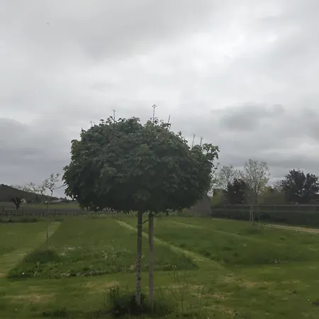 Belle Maison Vallée Du Lot. *