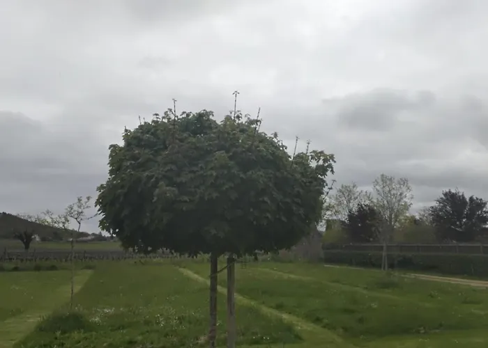 Belle Maison Vallée Du Lot. *